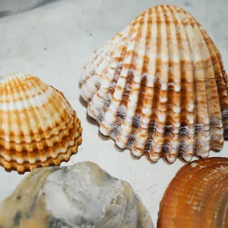 Wow Front View, 150 M To Beach, Wifi * Λάγος