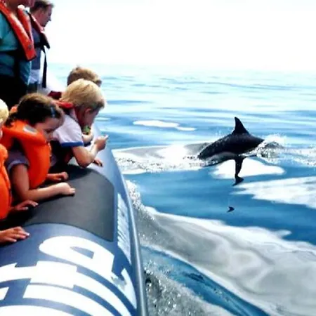 Wow Front View, 150 M To Beach, Wifi Daire *