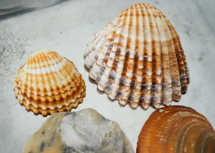 Wow Front View, 150 M To Beach, Wifi * 拉哥斯